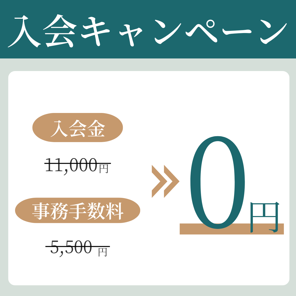 入会キャンペーン